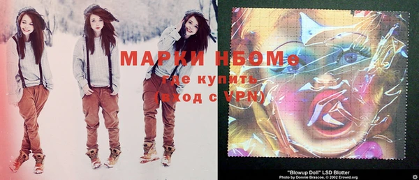 мдпв Кукмор