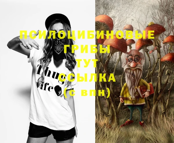 мдпв Кукмор