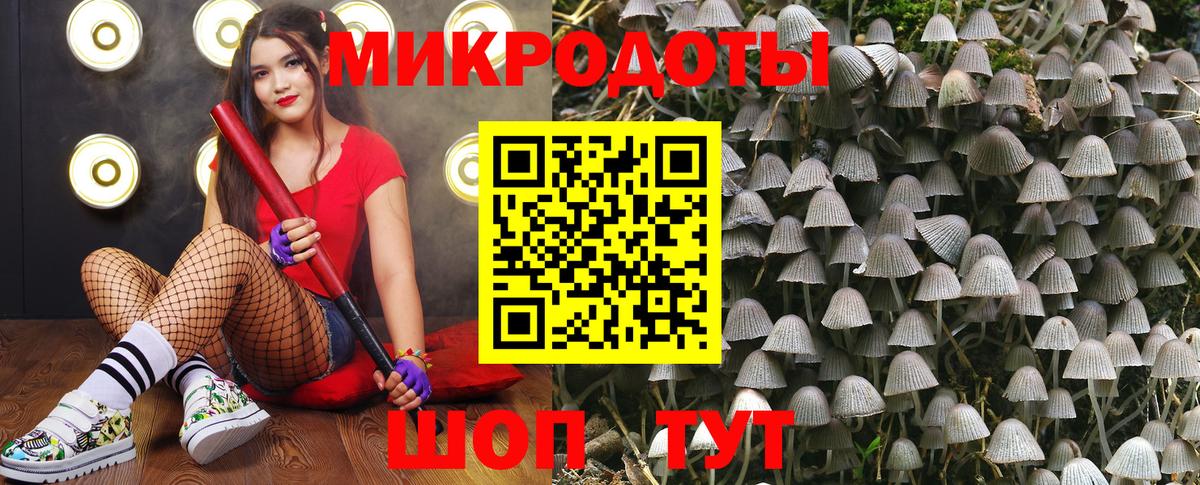 Псилоцибиновые грибы мицелий Саратов