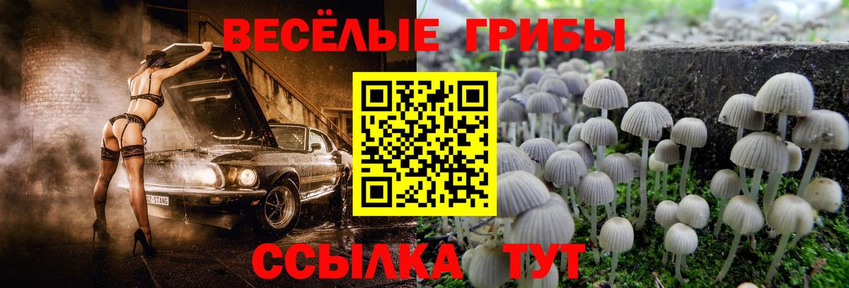 Псилоцибиновые грибы Cubensis  Псилоцибиновые грибы GOLDEN TEACHER  дарнет шоп  Вход с VPN  Саратов 
